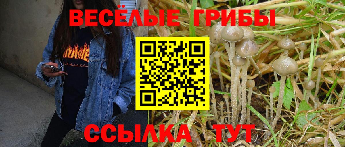 Галлюциногенные грибы мицелий Тамбов